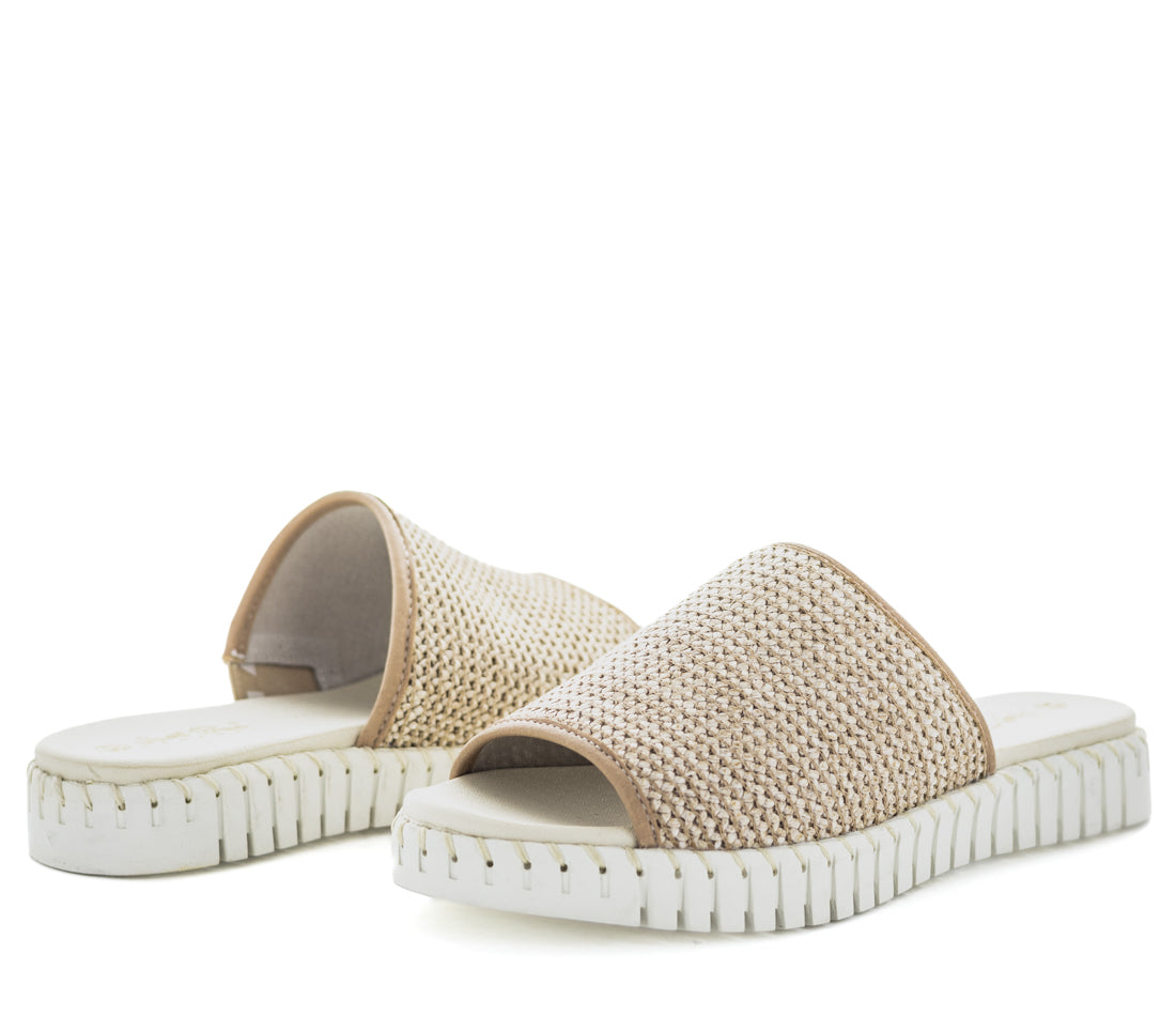 Just Bee Cobram Womens Sandals (9100322799839)