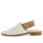 HAVE (8798036787423) (9068463849695)