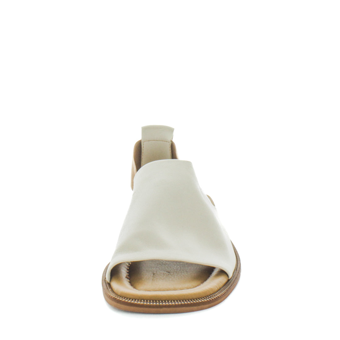 HAVE (8798036787423) (9068463849695)