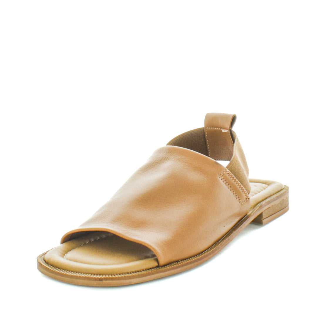 Have_Tan02 HAVE (8798036787423) (9068466143455)