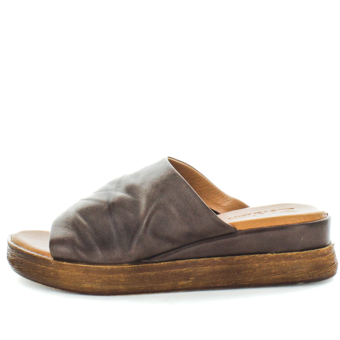 HOLLYN (8814791393503) (9115539308767)