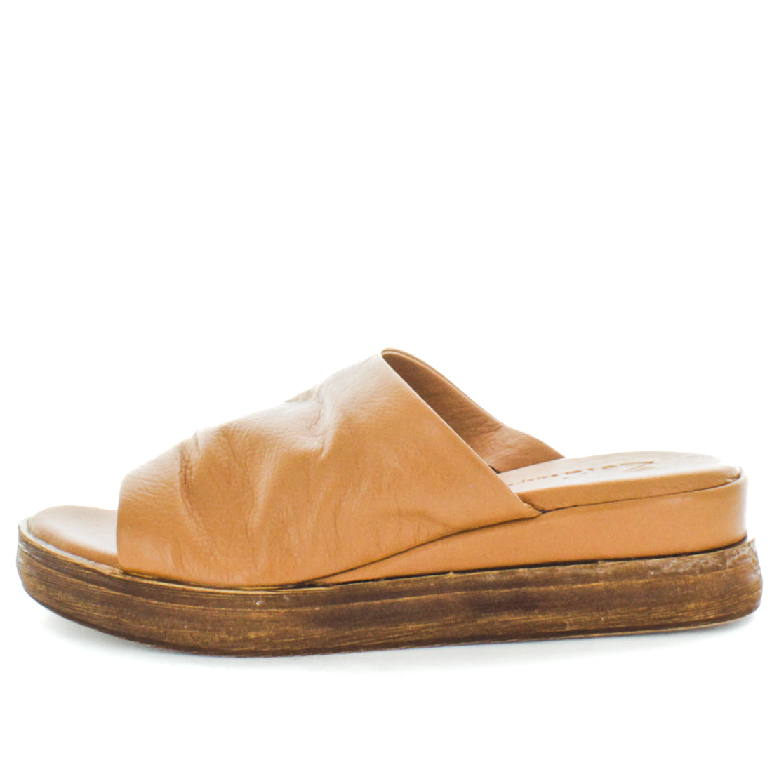 HOLLYN (8814791393503) (9115539341535)