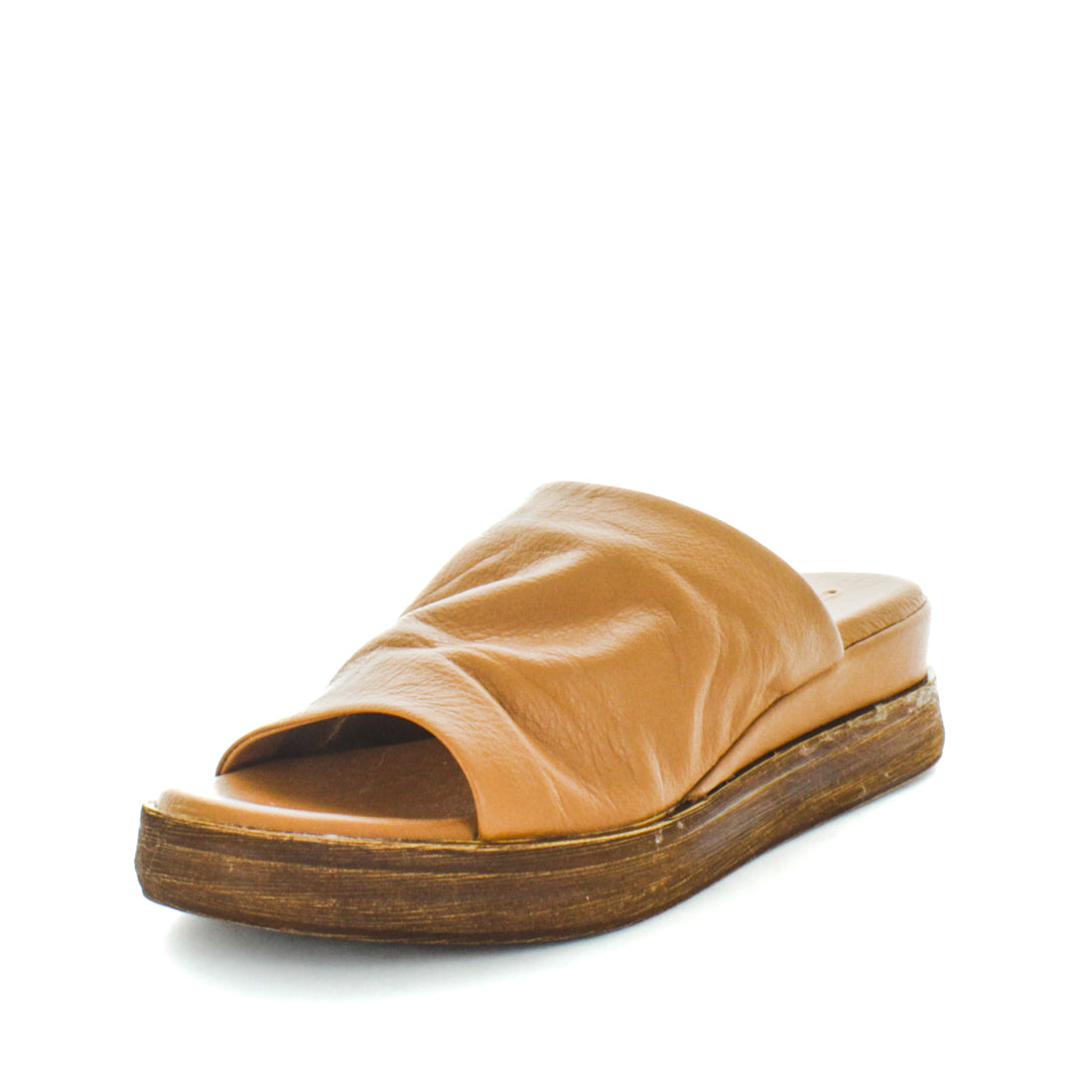 Hollyn-TAN-02 HOLLYN (8814791393503) (9115539341535)